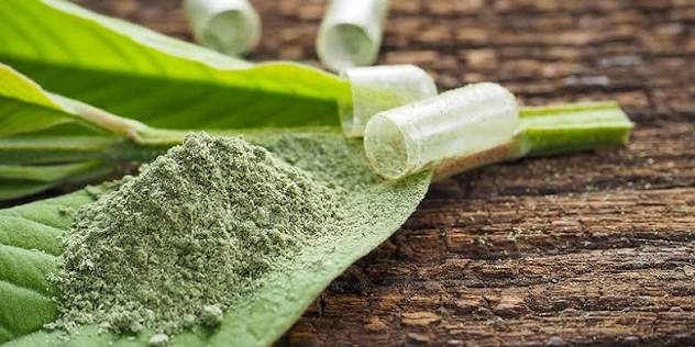 How Mescaline is Used